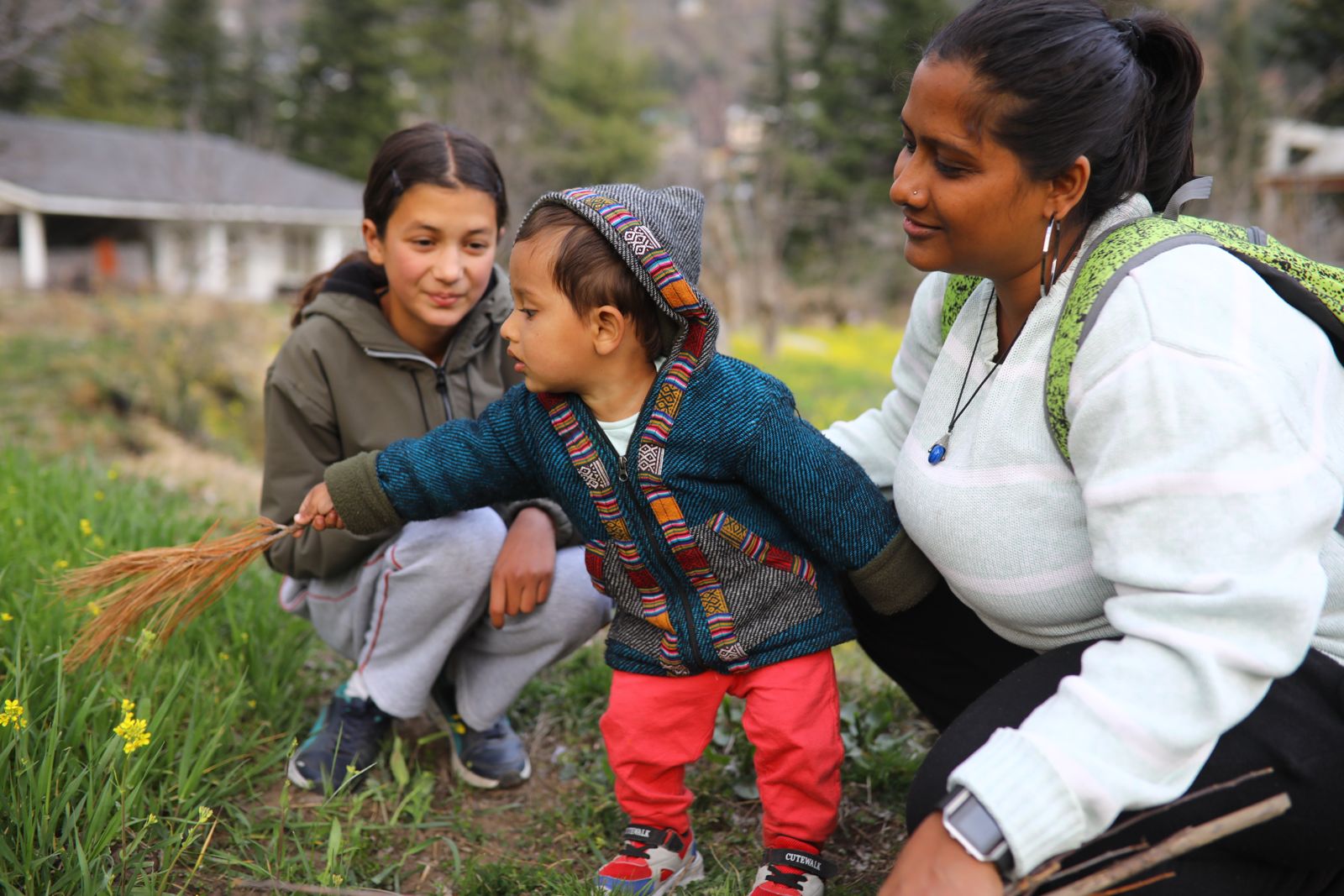 Himalayan Village Vacation - Naggar